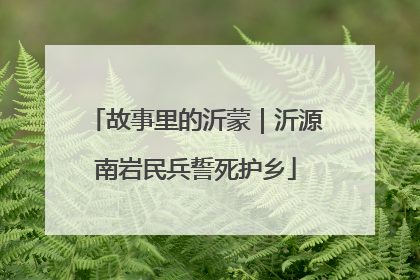 故事里的沂蒙｜沂源南岩民兵誓死护乡