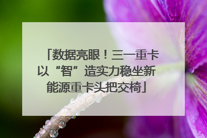 数据亮眼！三一重卡以“智”造实力稳坐新能源重卡头把交椅