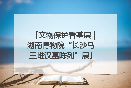 文物保护看基层｜湖南博物院“长沙马王堆汉墓陈列”展