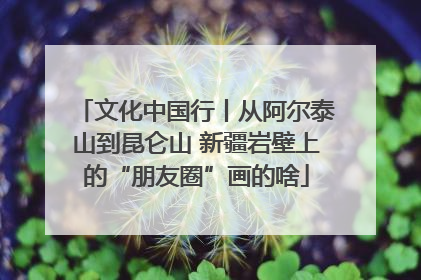 文化中国行丨从阿尔泰山到昆仑山 新疆岩壁上的“朋友圈”画的啥