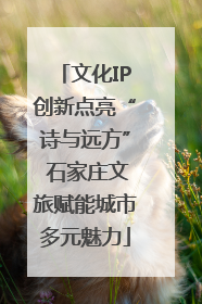 文化IP创新点亮“诗与远方” 石家庄文旅赋能城市多元魅力