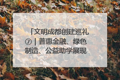 文明成都创建巡礼⑦｜普惠金融、绿色制造、公益助学展现城市文明底色