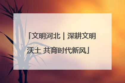 文明河北｜深耕文明沃土 共育时代新风
