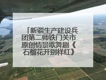 新疆生产建设兵团第二师铁门关市原创情景歌舞剧《石榴花开别样红》将来河北巡演