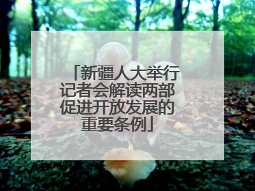 新疆人大举行记者会解读两部促进开放发展的重要条例