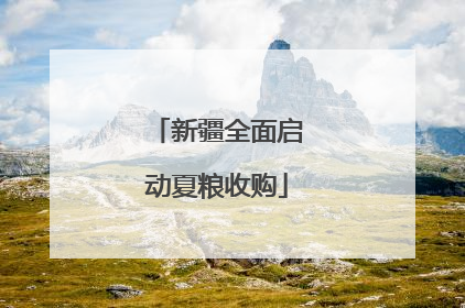 新疆全面启动夏粮收购