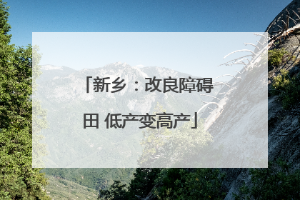 新乡：改良障碍田 低产变高产