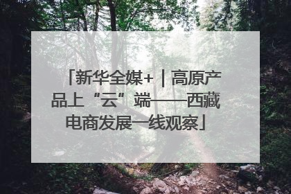 新华全媒+｜高原产品上“云”端——西藏电商发展一线观察