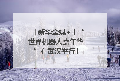 新华全媒+丨“世界机器人嘉年华”在武汉举行
