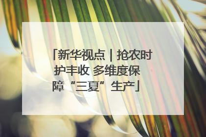 新华视点｜抢农时 护丰收 多维度保障“三夏”生产