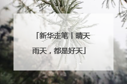 新华走笔丨晴天雨天，都是好天