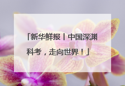 新华鲜报丨中国深渊科考，走向世界！
