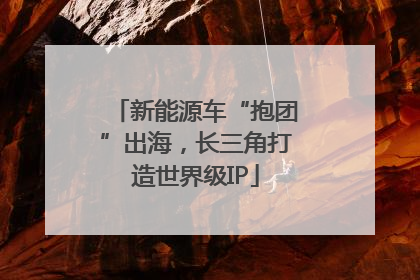 新能源车“抱团”出海，长三角打造世界级IP