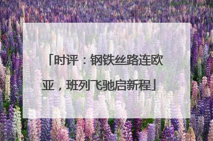 时评：钢铁丝路连欧亚，班列飞驰启新程
