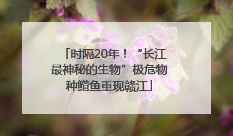 时隔20年！“长江最神秘的生物”极危物种鳤鱼重现赣江