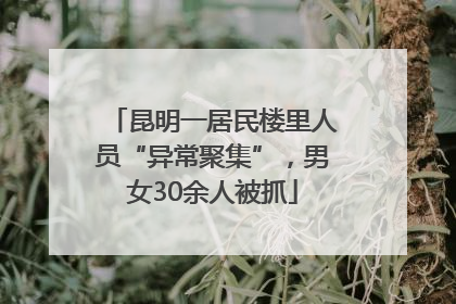昆明一居民楼里人员“异常聚集”，男女30余人被抓