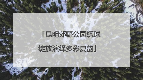 昆明郊野公园绣球绽放演绎多彩夏韵