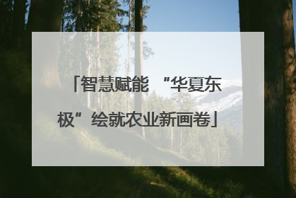 智慧赋能 “华夏东极”绘就农业新画卷