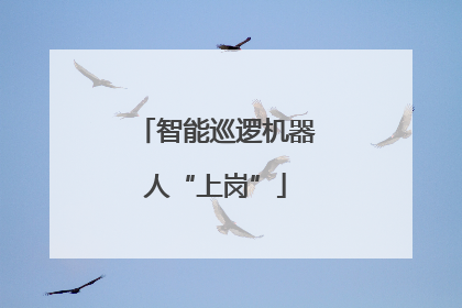 智能巡逻机器人“上岗”