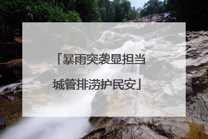 暴雨突袭显担当 城管排涝护民安