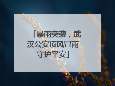 暴雨突袭，武汉公安顶风冒雨守护平安