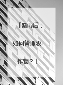 暴雨后，如何管理农作物？