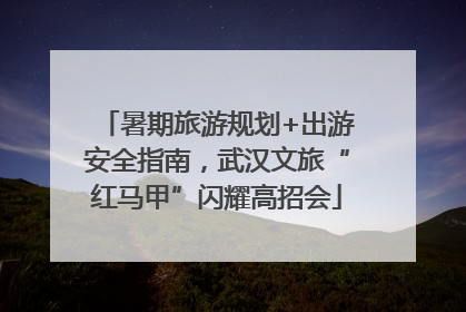 暑期旅游规划+出游安全指南，武汉文旅“红马甲”闪耀高招会