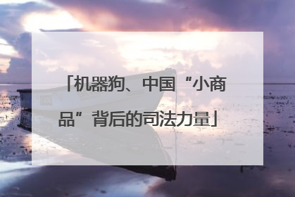 机器狗、中国“小商品”背后的司法力量