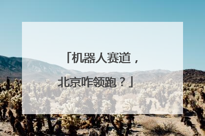 机器人赛道，北京咋领跑？