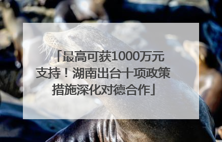 最高可获1000万元支持！湖南出台十项政策措施深化对德合作