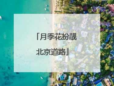 月季花扮靓北京道路