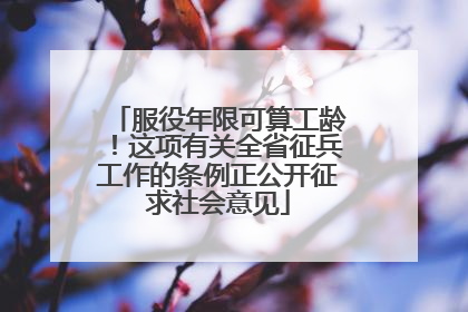 服役年限可算工龄！这项有关全省征兵工作的条例正公开征求社会意见