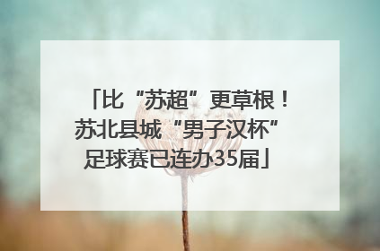 比“苏超”更草根！苏北县城“男子汉杯”足球赛已连办35届