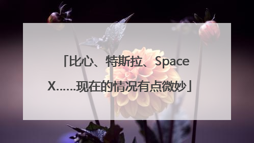 比心、特斯拉、SpaceX……现在的情况有点微妙