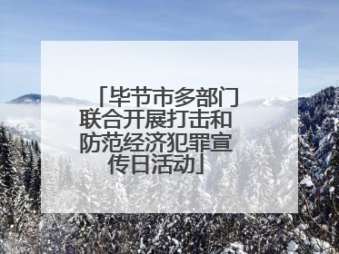 毕节市多部门联合开展打击和防范经济犯罪宣传日活动