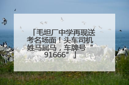 毛坦厂中学再现送考名场面！头车司机姓马属马，车牌号“91666”