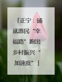 正宁：铺就惠民“幸福路”跑出乡村振兴“加速度”