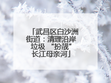 武昌区白沙洲街道：清理沿岸垃圾 “扮靓”长江母亲河