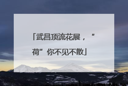 武昌顶流花展，“荷”你不见不散