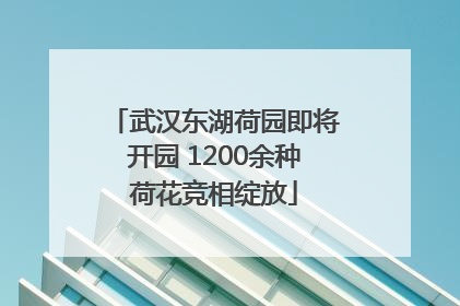 武汉东湖荷园即将开园 1200余种荷花竞相绽放