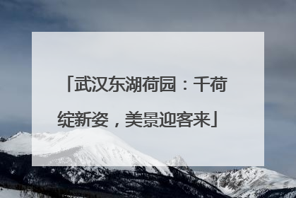 武汉东湖荷园：千荷绽新姿，美景迎客来