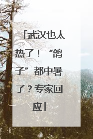武汉也太热了！“鸽子”都中暑了？专家回应