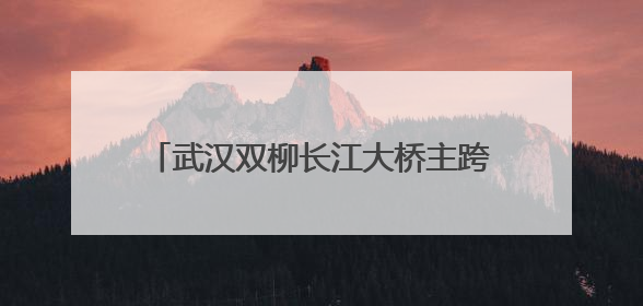 武汉双柳长江大桥主跨首片钢箱梁成功吊装