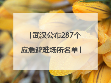 武汉公布287个应急避难场所名单