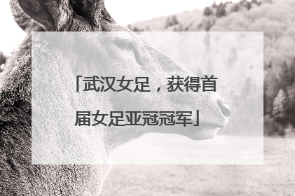 武汉女足，获得首届女足亚冠冠军