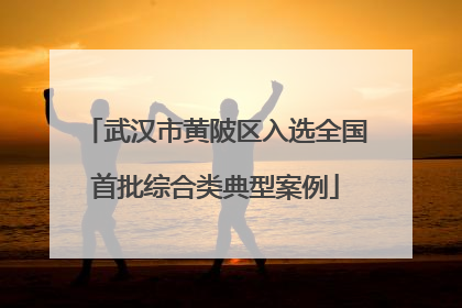 武汉市黄陂区入选全国首批综合类典型案例