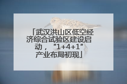 武汉洪山区低空经济综合试验区建设启动，“1+4+1”产业布局初现