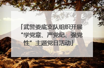 武警娄底支队组织开展“学党章、严党纪、强党性”主题党日活动