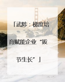 武陟：梯度培育赋能企业“拔节生长”