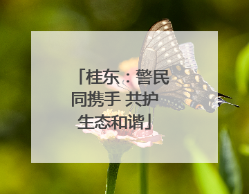 桂东：警民同携手 共护生态和谐